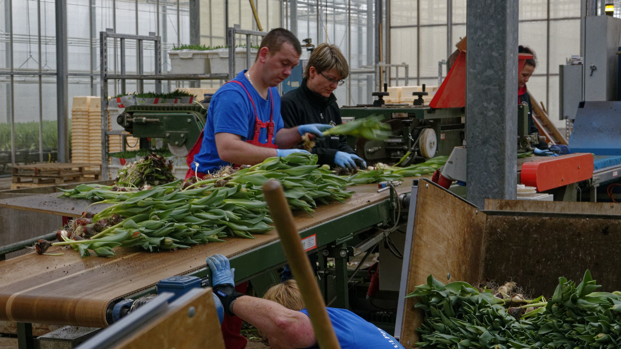 20140417 145540•Medemblik•North Holland•Netherlands